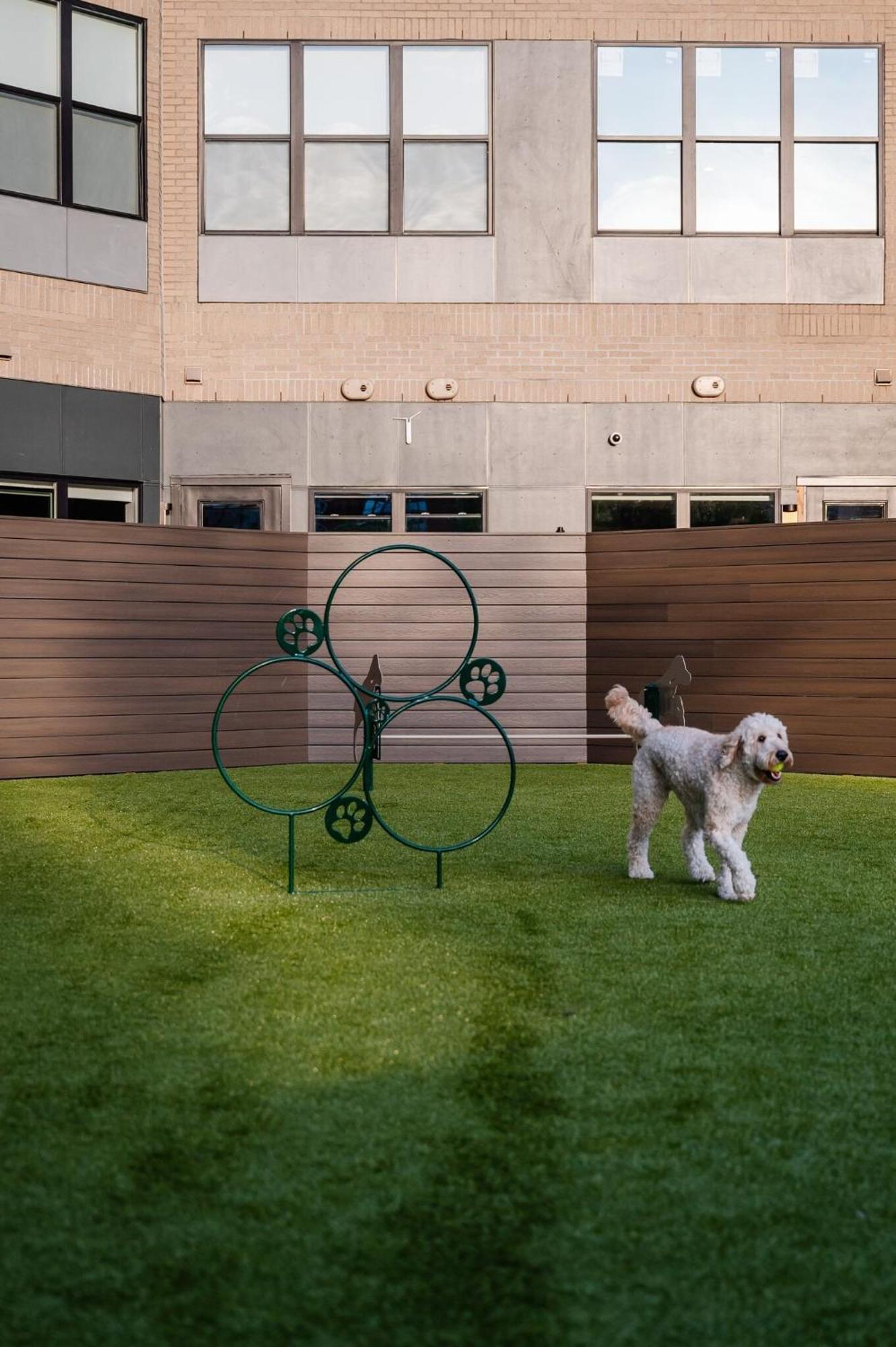 Luxury Apartments By Hyatus At Pierpont Ню Хейвън Екстериор снимка